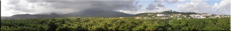 Panoramic view of Yunque National Rain Forest