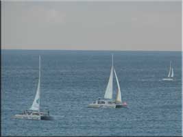 Sunset sailboat race