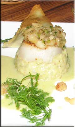 Scallop