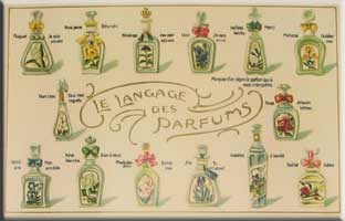 Language of perfume