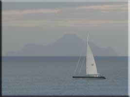 Cat coming past Saba at sunrise