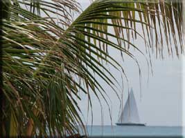 Chardonnay with Great Bay and Fort Amsterdam on the Divi peninsula