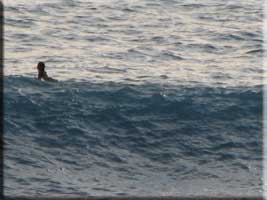 Surfer at Cupecoy