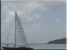 True North, America's Cup boat