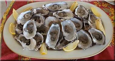 Oysters