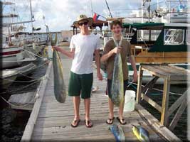 Very fresh mahi-mahi