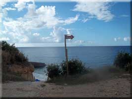 Stairs at baby beach