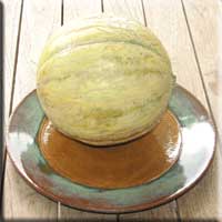 melon